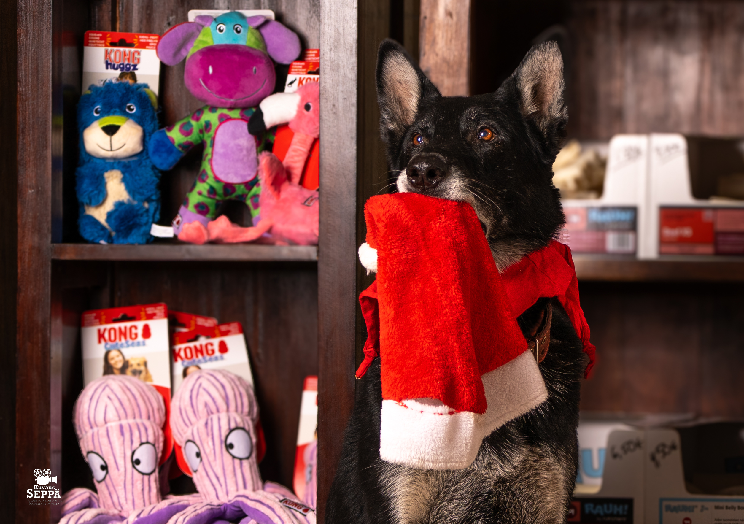 Joulun vaarat, osa 2: Joulukukat ja muut joulun vaarat