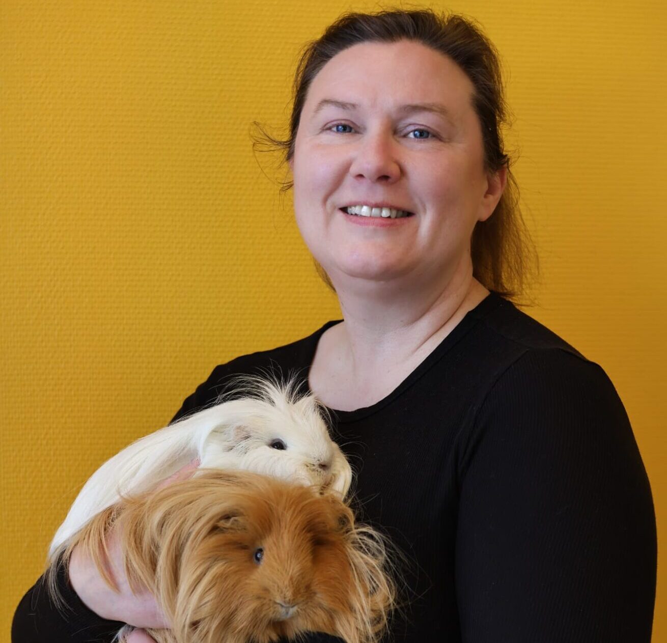 esittelykuva Heidi Hermiö